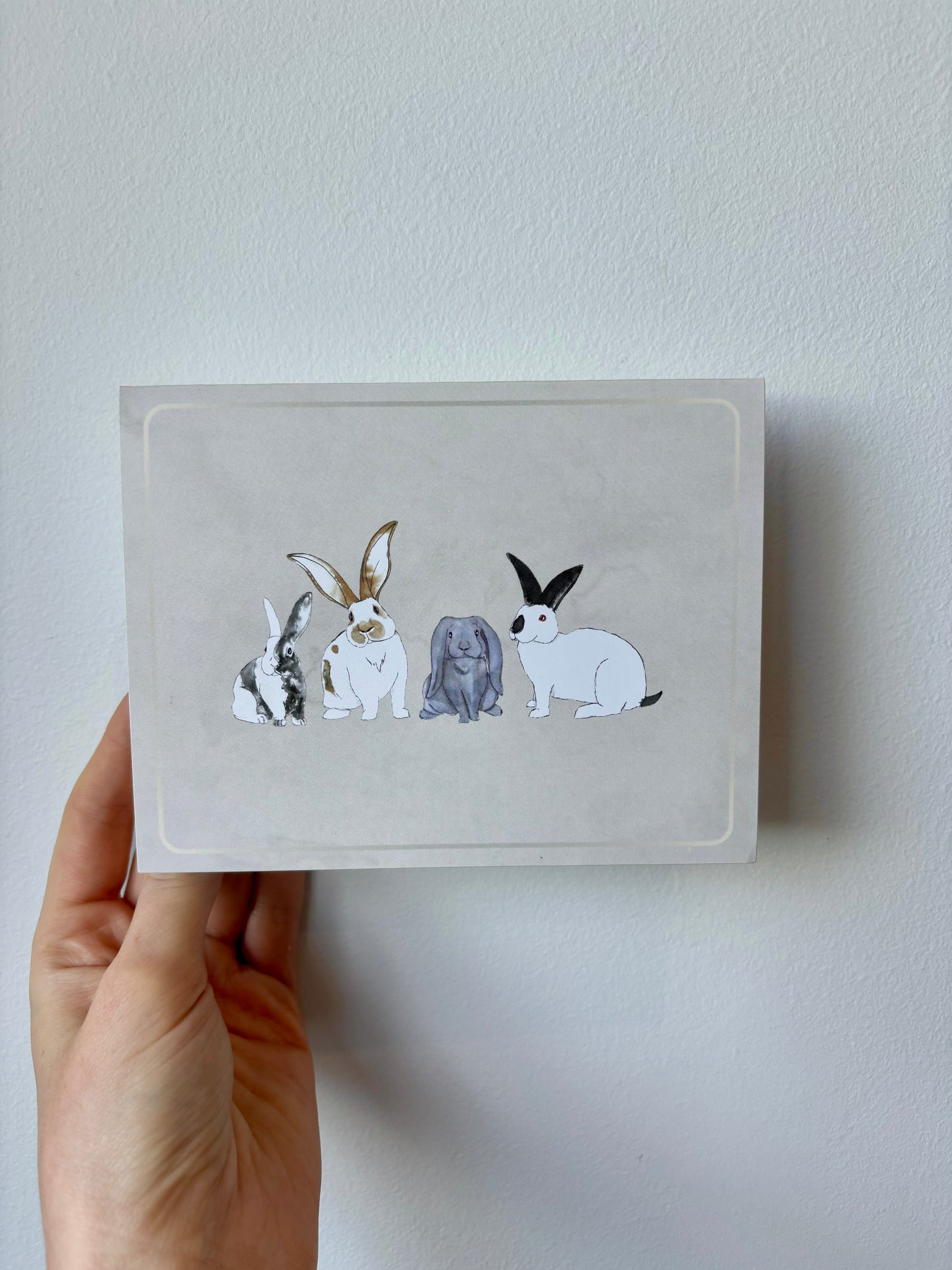 Grouped Rabbits Greeting Cards - 6 pack – The Rabbit Doctors