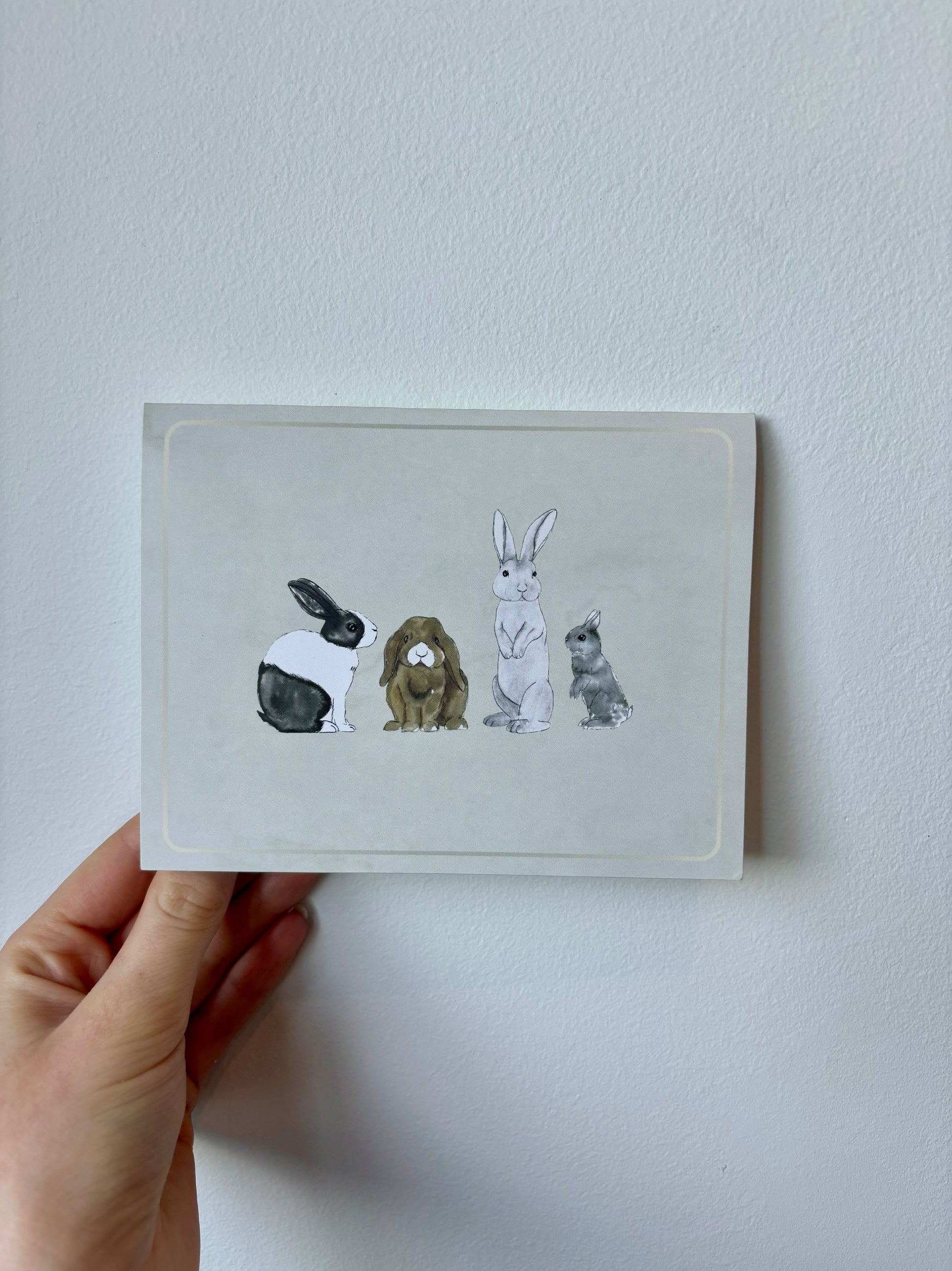Grouped Rabbits Greeting Cards - 6 pack – The Rabbit Doctors