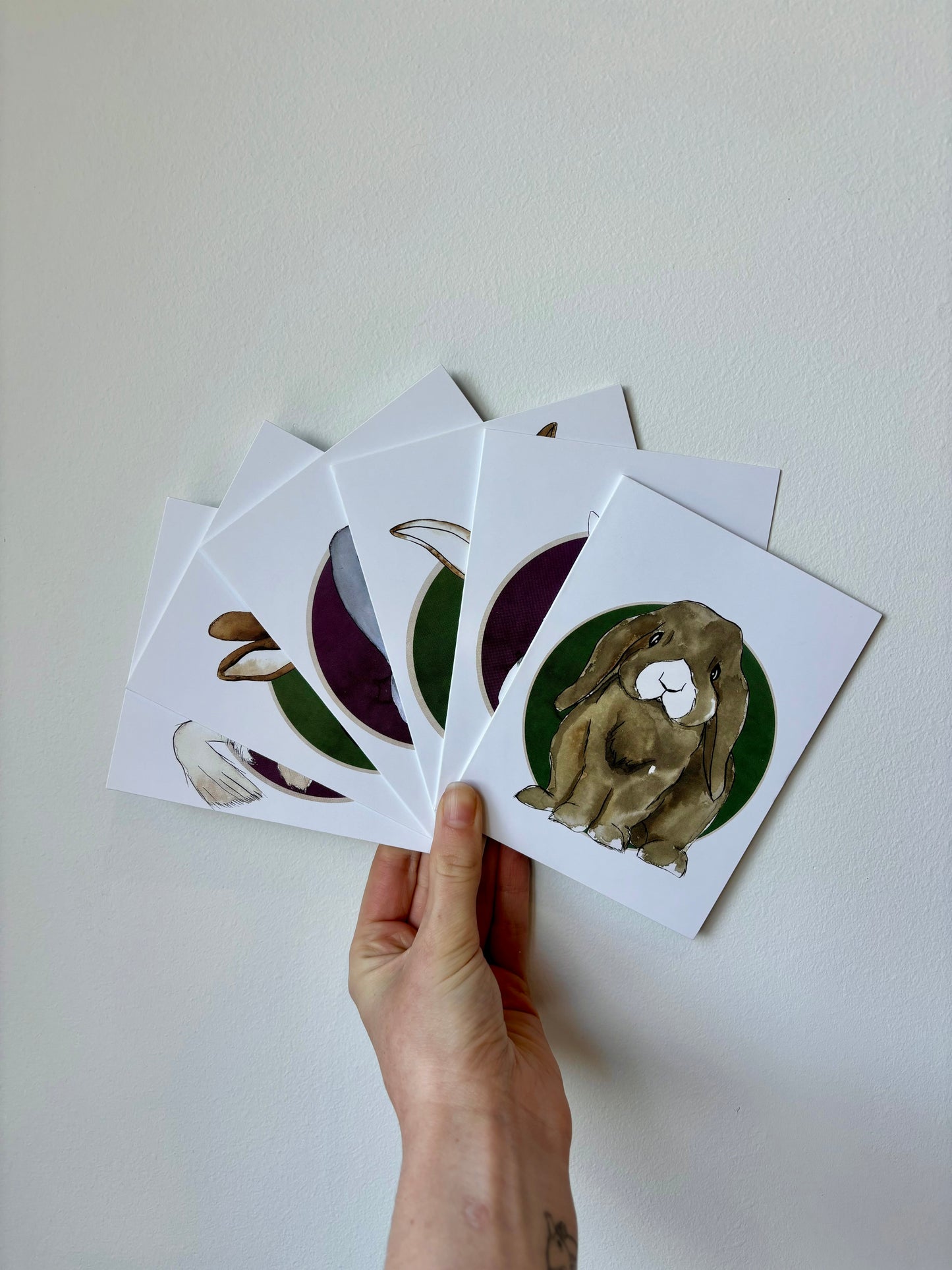 Single Rabbit Greeting Cards - 6 pack