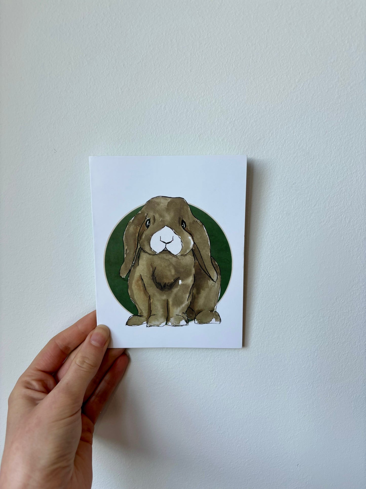 Single Rabbit Greeting Cards - 6 pack – The Rabbit Doctors