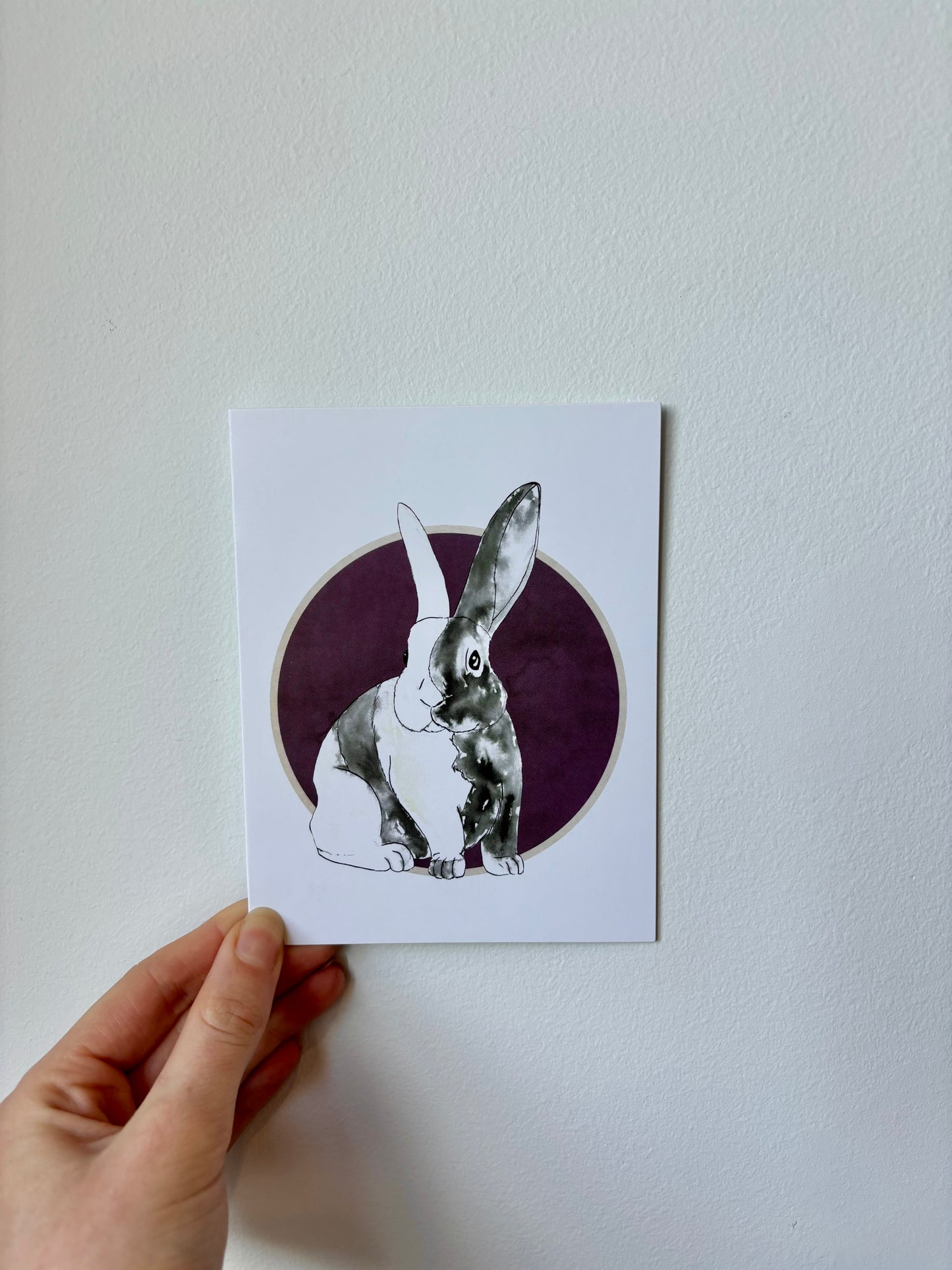 Single Rabbit Greeting Cards - 6 pack – The Rabbit Doctors
