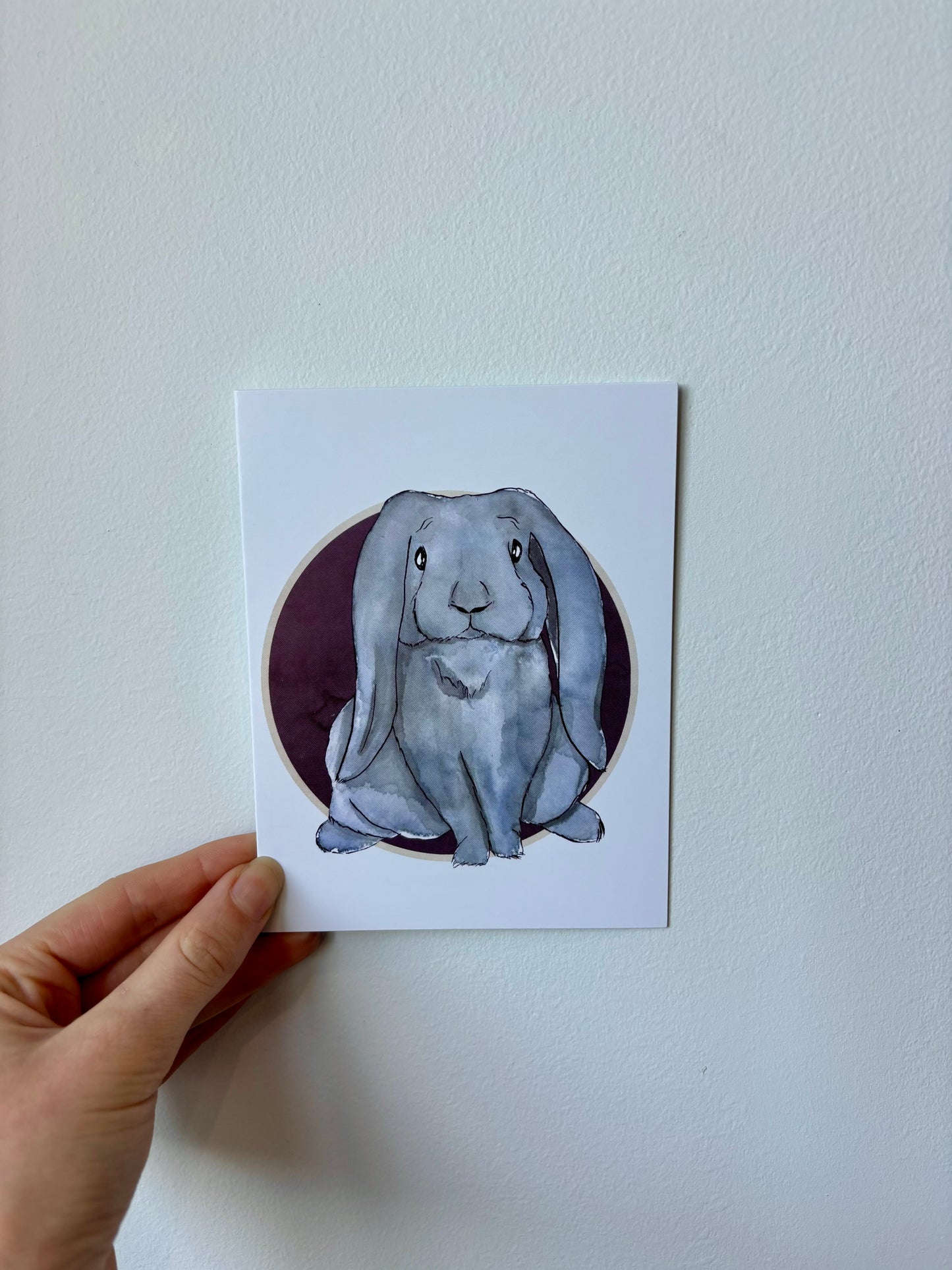Single Rabbit Greeting Cards - 6 pack – The Rabbit Doctors