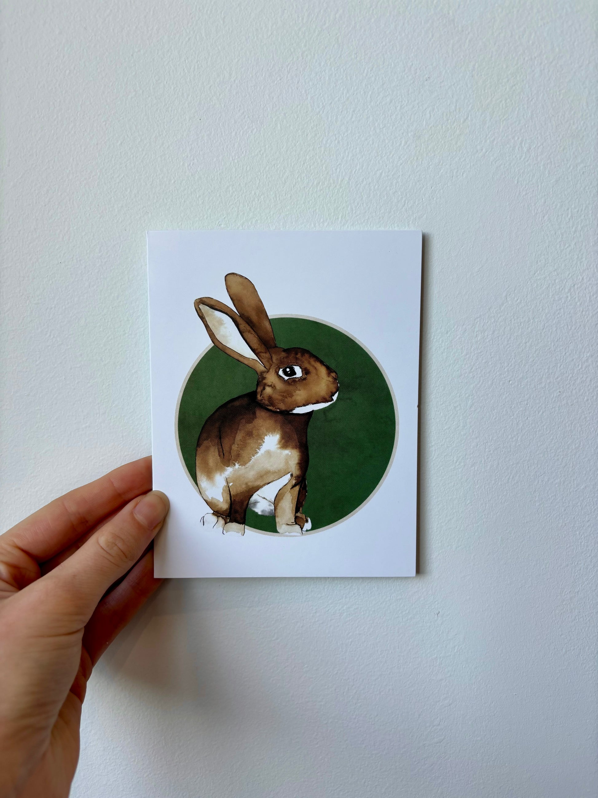 Single Rabbit Greeting Cards - 6 pack – The Rabbit Doctors