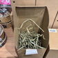 Snuffle Forage Box - Floral-icious