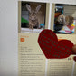 Charity Love Letter To My Bunny-tines