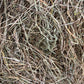 Grass Hay – Temporary Hay Shortage Alternative - Bagged