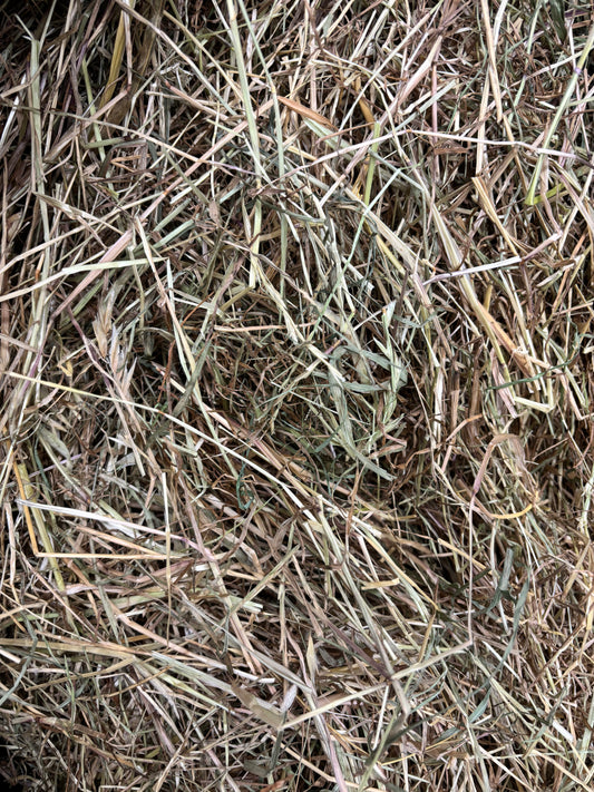 Grass Hay – Temporary Hay Shortage Alternative - Bagged