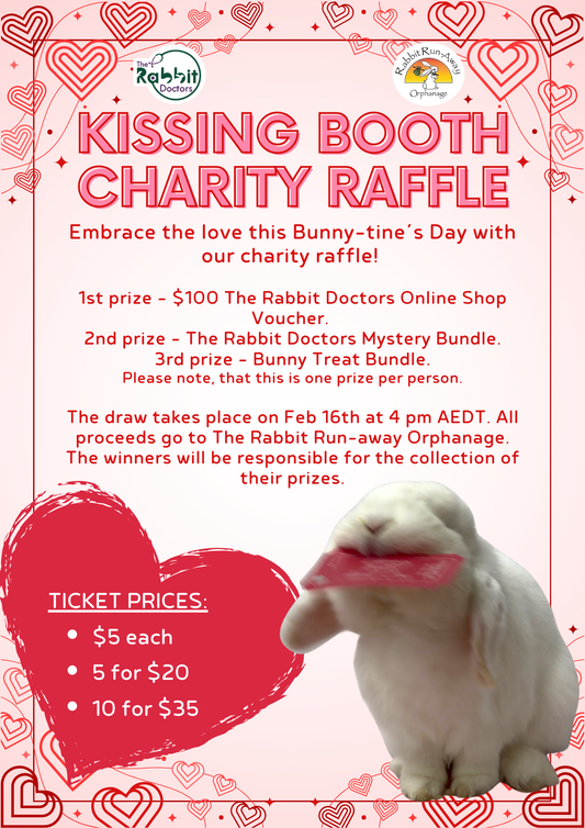 Kissing Booth Charity Raffle 2026