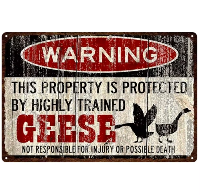 Warning Geese - Metal Decorative Sign