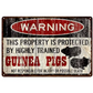 Warning Guinea Pig - Metal Decorative Sign