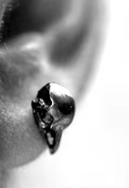 Raven Skull Stud Earrings - Halloween 2024