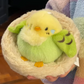 Plump Budgie Plush Toy