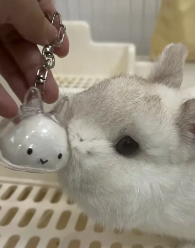 Transparent Bunny Keepsake Keyring