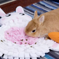 Rabbit Shaped Snuffle Mat