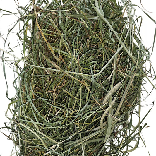 Barwon Hay - Timothy Hay 3 kg