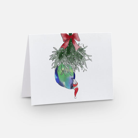 Hopping Holiday Cards - The Bird Doctors - Festive Season 2025