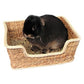 Chill N Snooze Basket