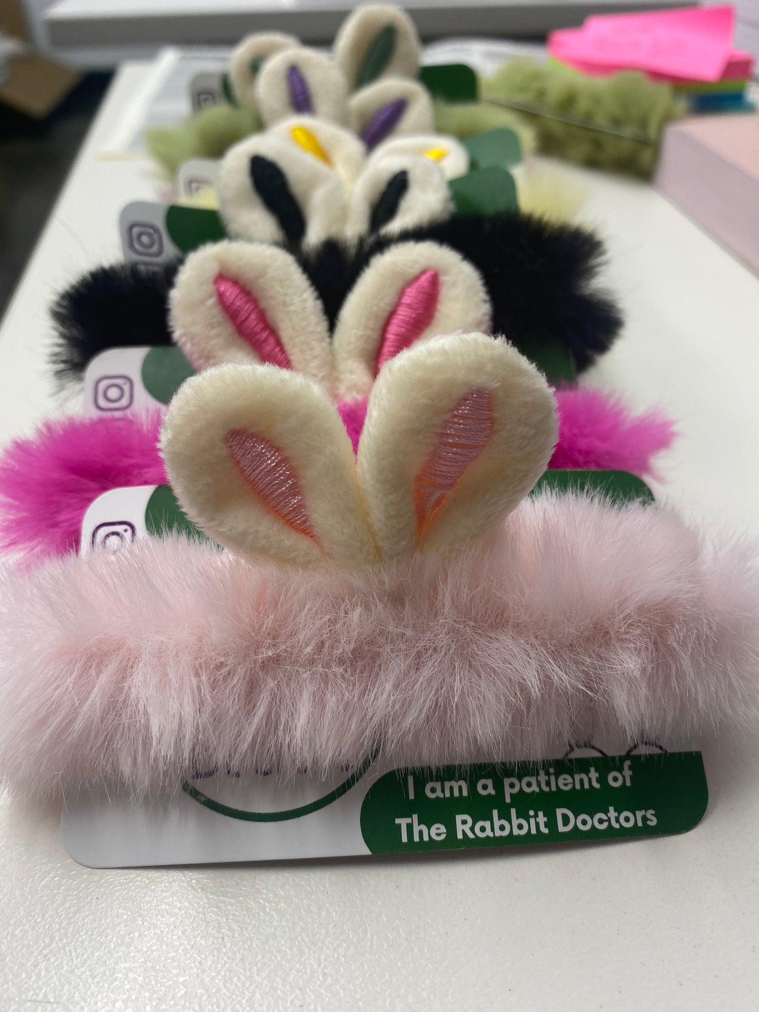The Rabbit Doctors
