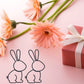 The Rabbit Doctors Shop Gift Card