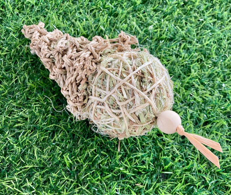 Nibbles & Knots Icecream waffle cone The Rabbit Doctors