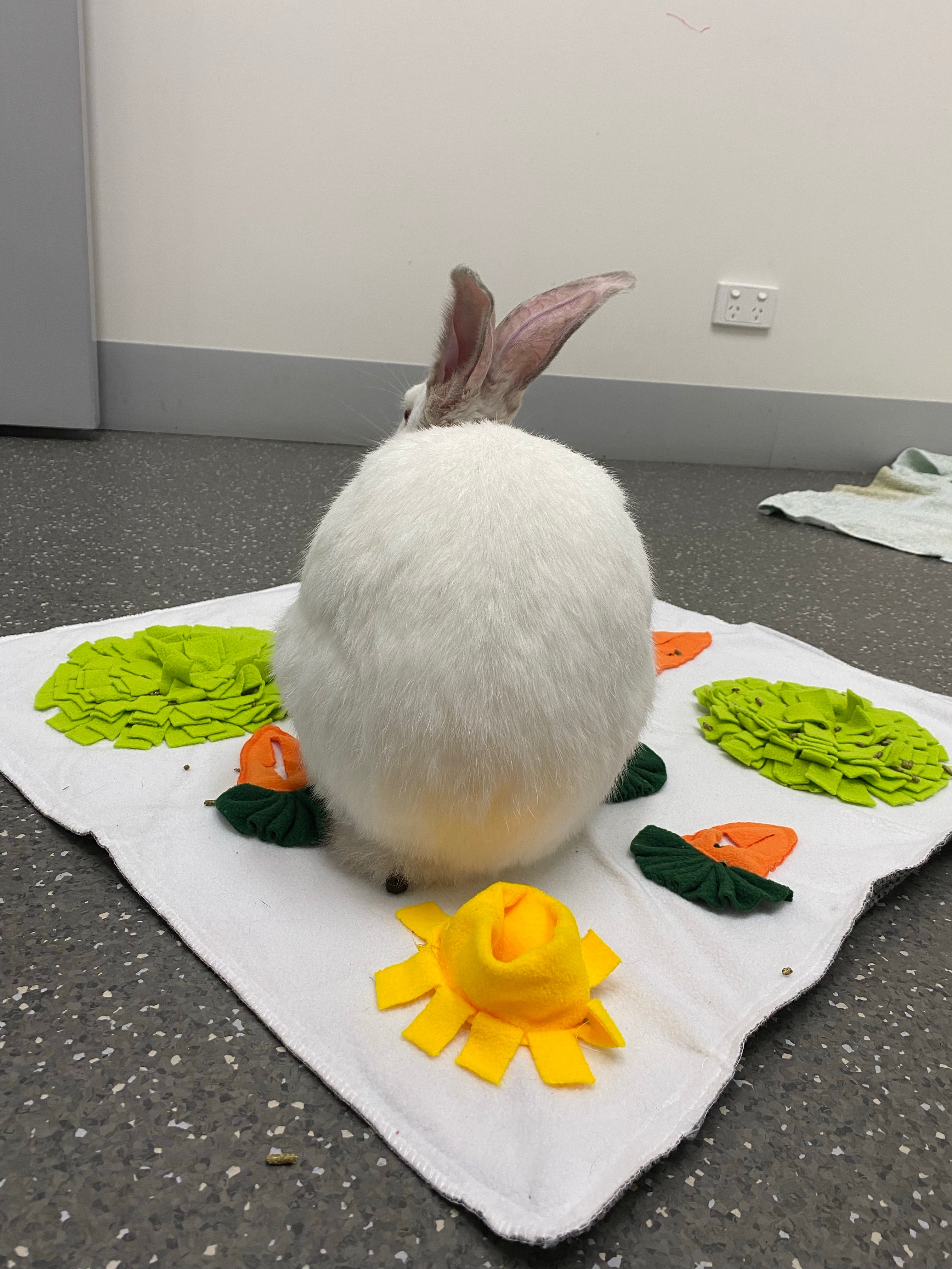 Rabbit mat best sale