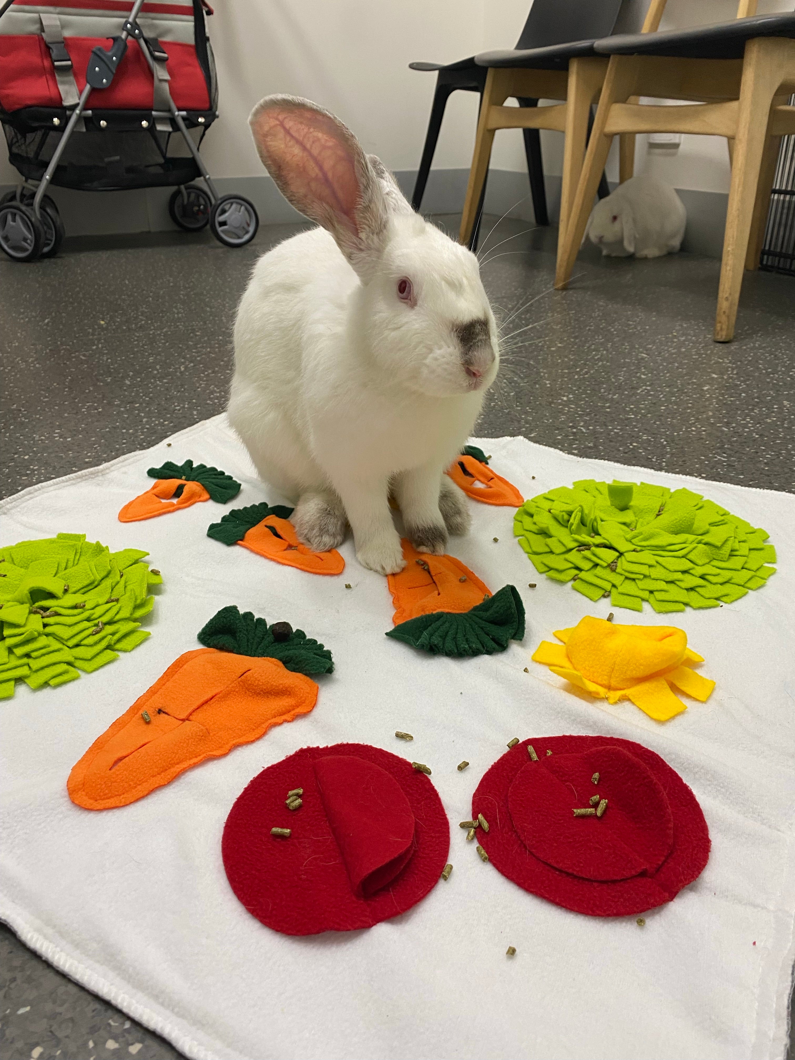 Rabbit mat best sale