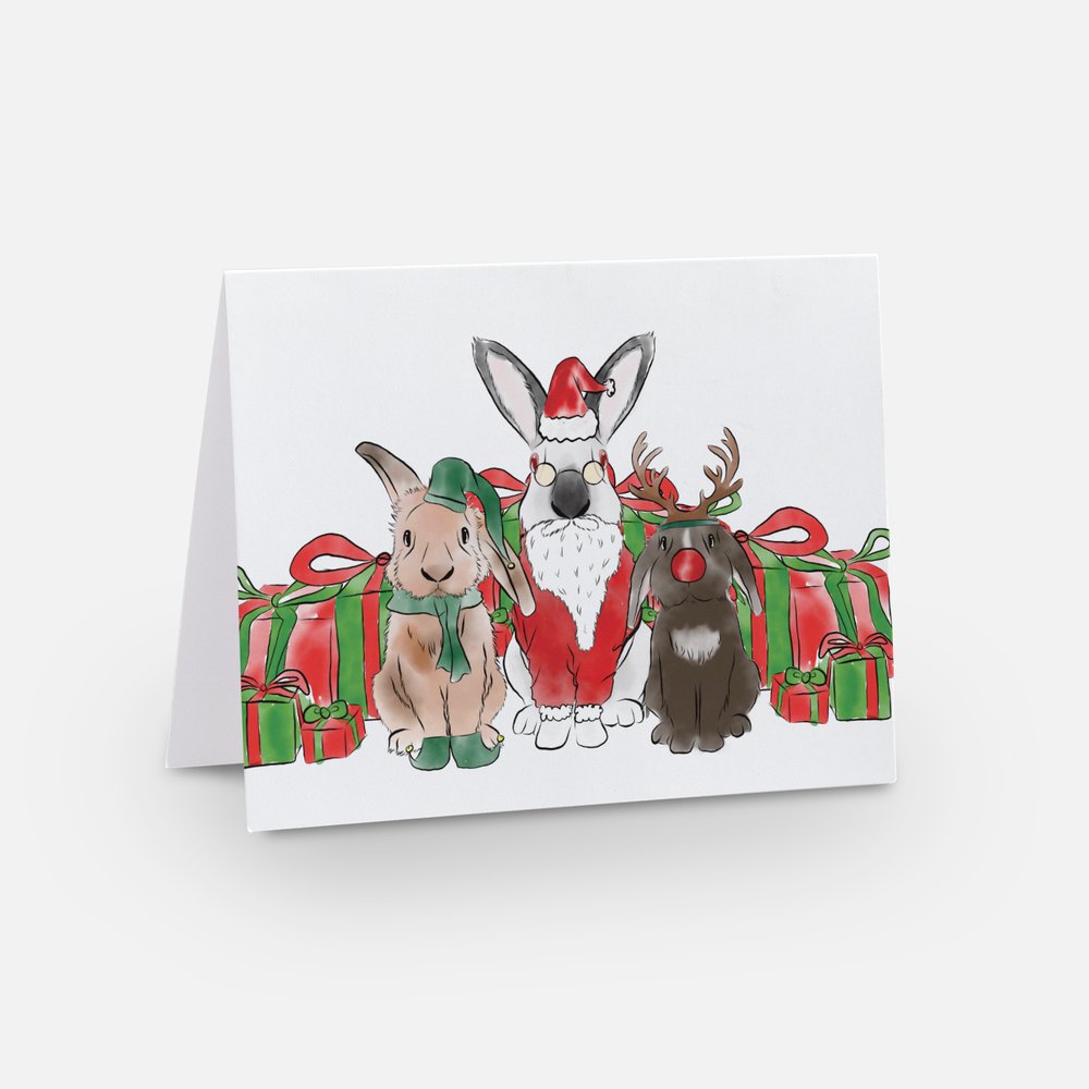 Hopping Holiday Cards - 10 Pack - Festive Season 2025